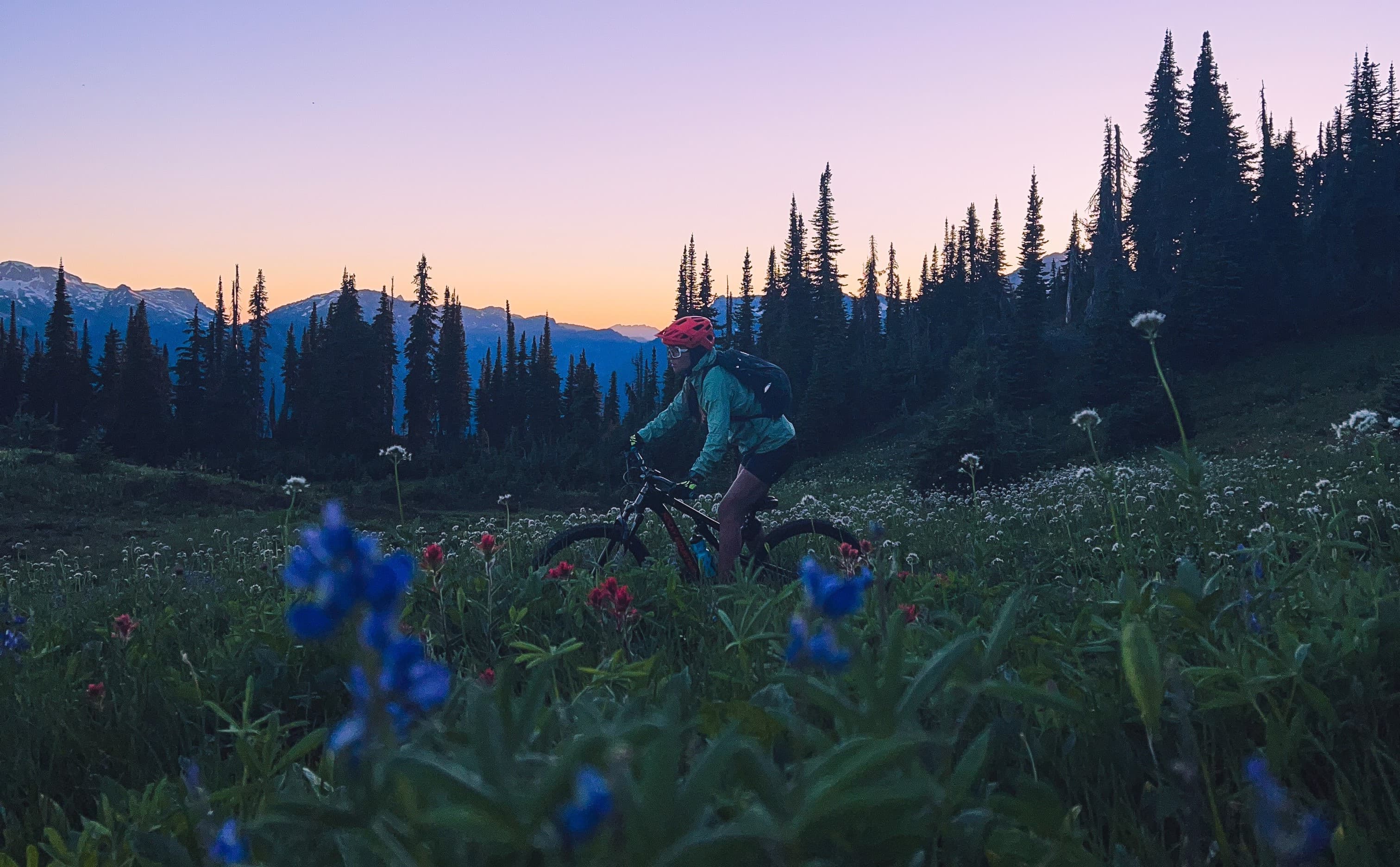 girl mountain biking through wildflowers at dusk