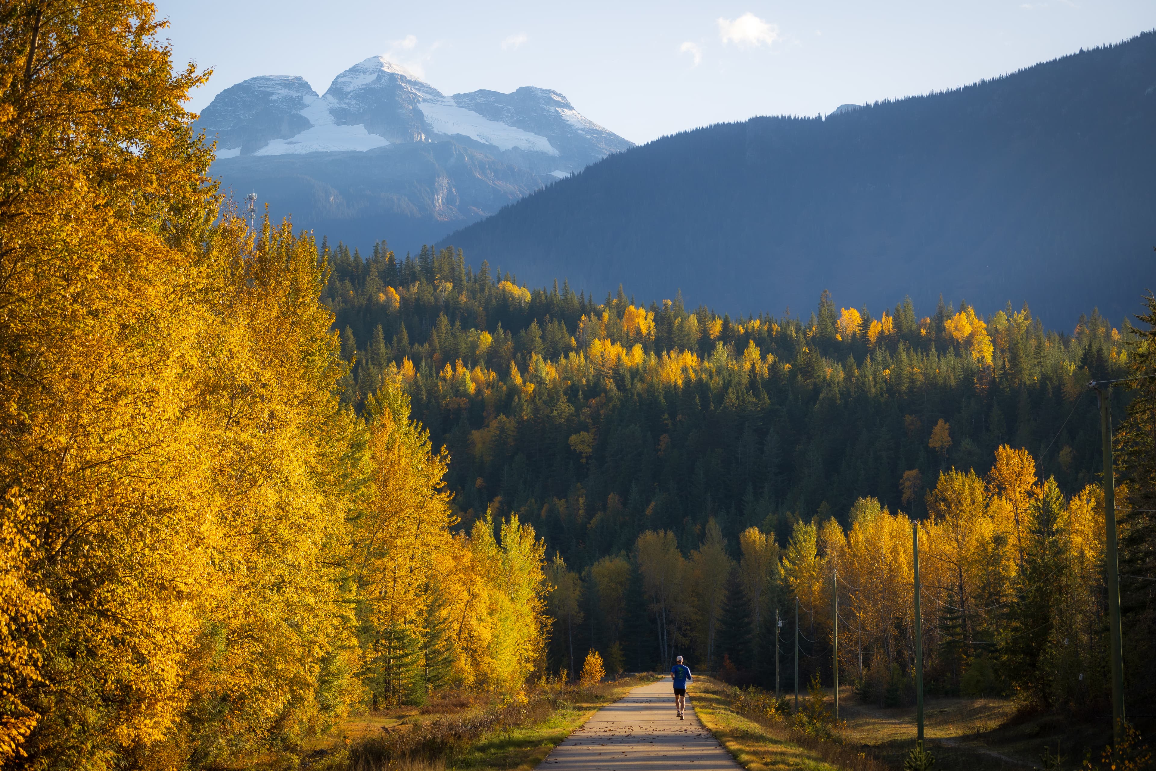 male running on path surrounded by fall colours